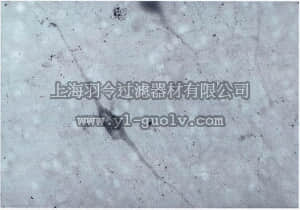 merck millipore,默克密理博,AB1585,Anti-Dopamine β Hydroxylase Antibody