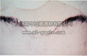 merck millipore,默克密理博,AB1779,Anti-Brain Derived Neurotrophic Factor Antibody