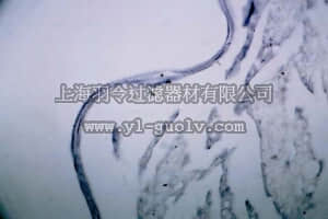 merck millipore,默克密理博,AB5166-50UL,Anti-Muscarinic Acetylcholine Receptor m2 Antibody