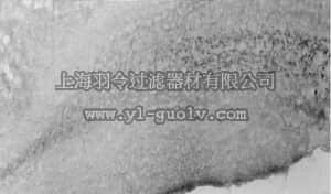 merck millipore,默克密理博,AB5206,Anti-Sodium Channel Antibody, Voltage Gated, Brain Type II