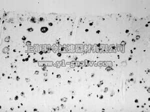 merck millipore,默克密理博,AB5306,Anti-Amyloid Antibody, β 37-42, aβ