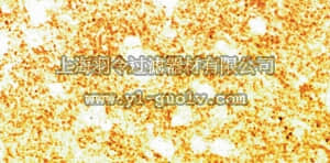 merck millipore,默克密理博,AB5336P,Anti-Synuclein α Antibody