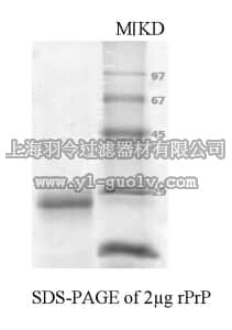 merck millipore,默克密理博,AG210,Prion Protein, recombinant