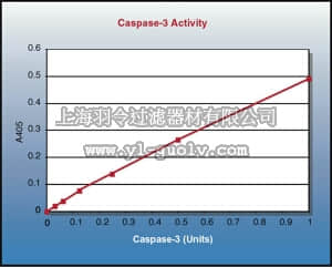 merck millipore,默克密理博,APT165,Caspase 3 Colorimetric Activity Assay Kit, DEVD