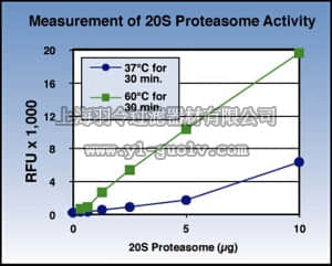 merck millipore,默克密理博,APT280,20S Proteasome Activity Assay