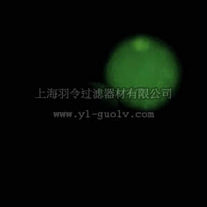 merck millipore,默克密理博,APT400,CaspaTag Pan-Caspase In Situ Assay Kit, Fluorescein