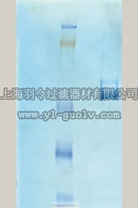 merck millipore,默克密理博,CC080,Vitronectin, Human Purified Protein