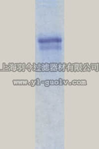 merck millipore,默克密理博,CC115,Chicken Tenascin