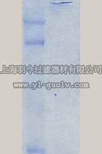 merck millipore,默克密理博,CC117,Chicken Extracellular Chondroitin Sulfate Proteoglycans