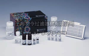 merck millipore,默克密理博,CYT304,ChemiKine Nerve Growth Factor, Sandwich ELISA