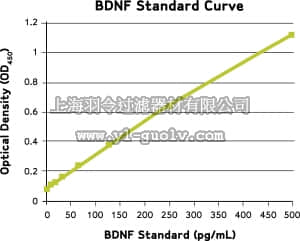 merck millipore,默克密理博,CYT306,ChemiKine Brain Derived Neurotrophic Factor, Sandwich ELISA