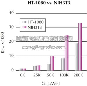 merck millipore,默克密理博,ECM509,QCM Chemotaxis Cell Migration Assay, 24-well (8 µm), fluorimetric