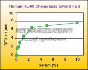 merck millipore,默克密理博,ECM515,QCM Chemotaxis Cell Migration Assay, 96-well (3 µm), fluorimetric