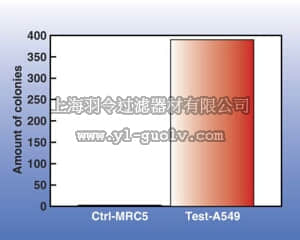 merck millipore,默克密理博,ECM570,Cell Transformation Detection Assay