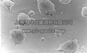 merck millipore,默克密理博,ESG1106,ESGRO Leukemia Inhibitory Factor (LIF), 1 million units/1 mL