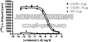 merck millipore,默克密理博,HTS001M,ChemiSCREEN™ Membrane Preparation Recombinant Human CXCR1 Chemokine Receptor