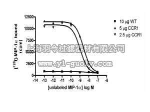 merck millipore,默克密理博,HTS005M,ChemiSCREEN™ CCR1 Membrane Preparation