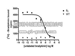 merck millipore,默克密理博,HTS041M,ChemiScreen™ Bradykinin B2 Membrane Preparation