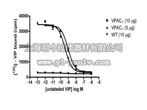 merck millipore,默克密理博,HTS043M,ChemiScreen™ VPAC1 Membrane Preparation