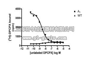 merck millipore,默克密理博,HTS047M,ChemiScreen™ A1 Membrane Preparation