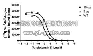 merck millipore,默克密理博,HTS064M,ChemiSCREEN™ Human Angiotensin II Receptor, Type I Membrane Preparation