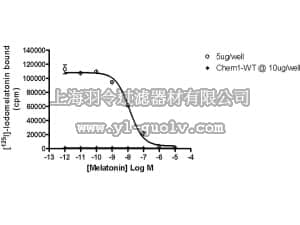 merck millipore,默克密理博,HTS065M,ChemiSCREEN™ Membrane Preparation Recombinant Human MT1 Melatonin Receptor