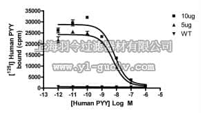 merck millipore,默克密理博,HTS066M,ChemiSCREEN™ Human Y2 Neuropeptide Receptor Membrane Preparation