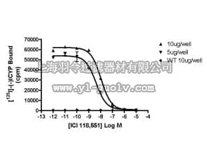 merck millipore,默克密理博,HTS073M,ChemiScreen™ Recombinant Human β2 Adrenoceptor