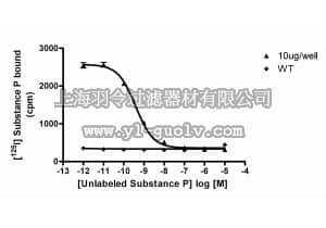 merck millipore,默克密理博,HTS080M,ChemiSCREEN™ Human NK1 Tachykinin Receptor Membrane Preparation