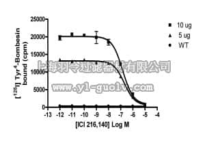 merck millipore,默克密理博,HTS084M,ChemiScreen™ BB2 Bombesin Receptor Membrane Preparation