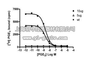 merck millipore,默克密理博,HTS092M,ChemiSCREEN™ EP3 Prostanoid Receptor Membrane Preparation