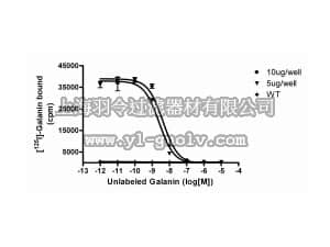 merck millipore,默克密理博,HTS094M,ChemiSCREEN™  Membrane Preparation Recombinant Human GAL1 Receptor