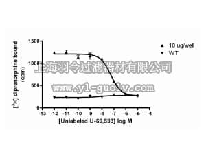merck millipore,默克密理博,HTS095M,ChemiScreen™ Membrane Preparation  Recombinant Human Kappa Opioid Receptor