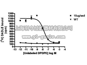 merck millipore,默克密理博,HTS100M,ChemiSCREEN™ Human δ Opioid Receptor Membrane Preparation