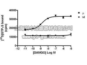 merck millipore,默克密理博,HTS101M,CHEMISCREEN™ MEMBRANE PREPARATION RECOMBINANT HUMAN µ (Mu) OPIOID RECEPTOR