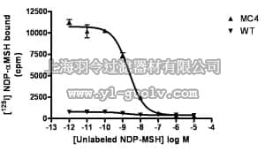 merck millipore,默克密理博,HTS105M,ChemiSCREEN™ Human MC4 Melanocortin Receptor Membrane Preparation