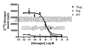merck millipore,默克密理博,HTS112M,ChemiScreen™ Recombinant Human Glucagon Receptor Membrane Preparation