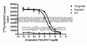 merck millipore,默克密理博,HTS114M,ChemiSCREEN™ Human PAC1-long Receptor Membrane Preparation