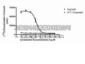 merck millipore,默克密理博,HTS125M,ChemiScreen™ Membrane Preparation  Recombinant Human SST4 SOMATOSTATIN RECEPTOR