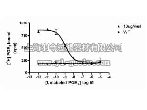 merck millipore,默克密理博,HTS142M,ChemiScreen™ Membrane Preparation  Recombinant Human EP4 Prostanoid Receptor