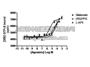 merck millipore,默克密理博,HTS149M,ChemiSCREEN™ Membrane Preparation Recombinant Human mGlu6 Metabotropic Glutamate Receptor