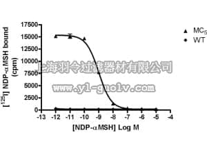 merck millipore,默克密理博,HTS155M,ChemiSCREEN™ Membrane Preparation Recombinant Human MC5 Melanocortin Receptor