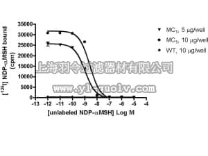 merck millipore,默克密理博,HTS156M,ChemiSCREEN™ Membrane Preparation Recombinant Human MC1 Melanocortin Receptor