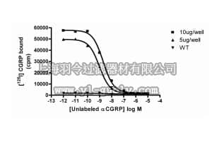 merck millipore,默克密理博,HTS172M,ChemiScreen™Human CGRP1 Calcitonin Receptor Membrane Preparation