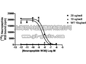 merck millipore,默克密理博,HTS181M,ChemiSCREEN™ Membrane Preparation Recombinant Human NPBW2 Neuropeptide B/W Receptor