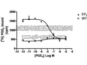 merck millipore,默克密理博,HTS185M,ChemiSCREEN™ Membrane Preparation Recombinant Human EP2 Prostanoid Receptor