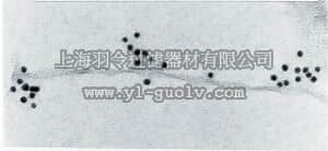 merck millipore,默克密理博,MAB1510,Anti-Ubiquitin Antibody, clone Ubi-1 (aka 042691GS)