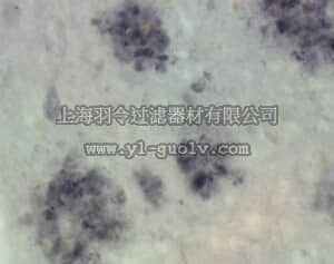 merck millipore,默克密理博,MAB1563,Anti-Presenilin-1 Antibody, NT, clone hPS1-NT