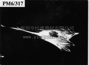 merck millipore,默克密理博,MAB1678,Anti-Filamin A Antibody, clone PM6/317