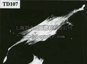 merck millipore,默克密理博,MAB1684,Anti-Caldesmon Antibody, clone TD107